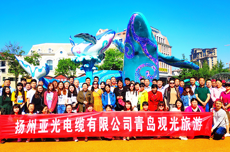 Yangzhou Yaguang Kabel Co., Ltd.