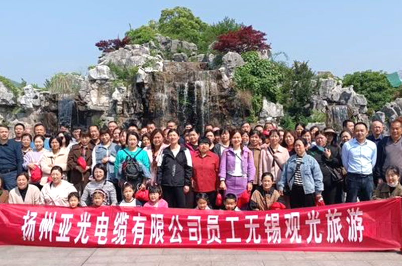 Yangzhou Yaguang Kabel Co., Ltd.