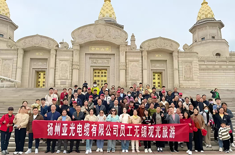 Yangzhou Yaguang Kabel Co., Ltd.